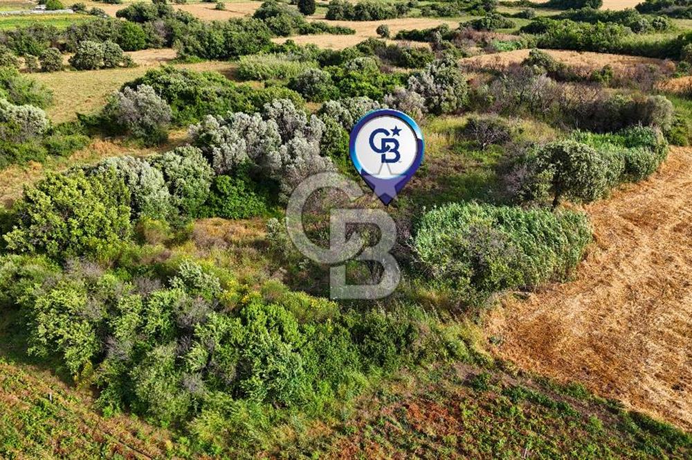 Datça Kızlan'da Turizm Planında Satılık 952 m² İncirli Tarla