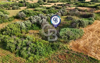 Datça Kızlan'da Turizm Planında Satılık 952 m² İncirli Tarla