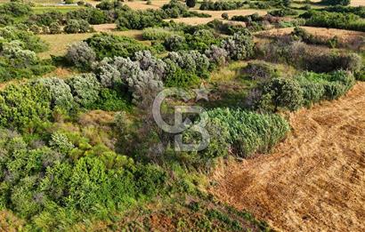 Datça Kızlan'da Turizm Planında Satılık 952 m² İncirli Tarla