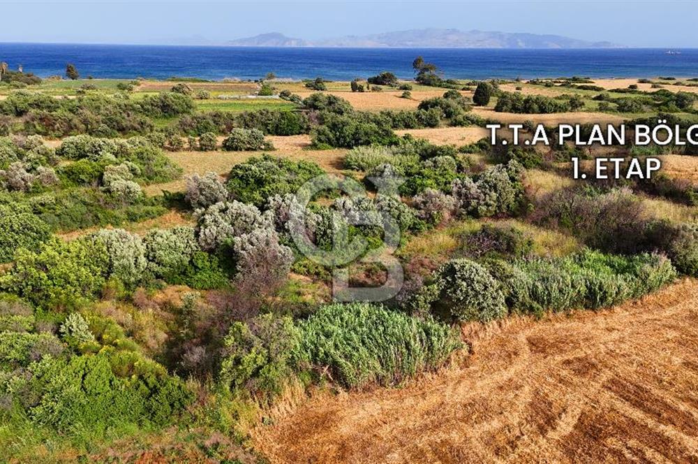 Datça Kızlan'da Turizm Planında Satılık 952 m² İncirli Tarla