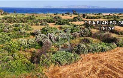 Datça Kızlan'da Turizm Planında Satılık 952 m² İncirli Tarla