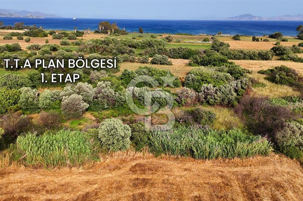 Datça Kızlan'da Turizm Planında Satılık 952 m² İncirli Tarla