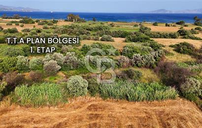 Datça Kızlan'da Turizm Planında Satılık 952 m² İncirli Tarla