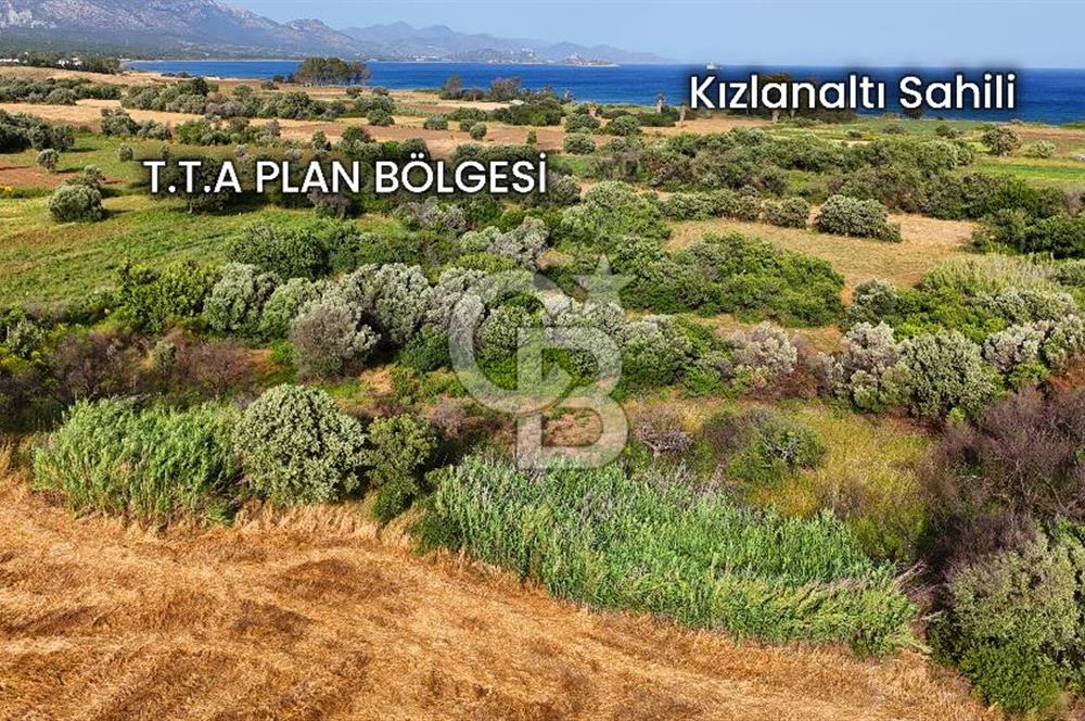 Datça Kızlan'da Turizm Planında Satılık 952 m² İncirli Tarla