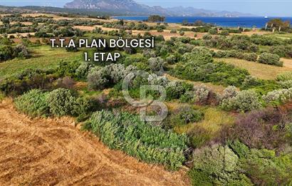 Datça Kızlan'da Turizm Planında Satılık 952 m² İncirli Tarla