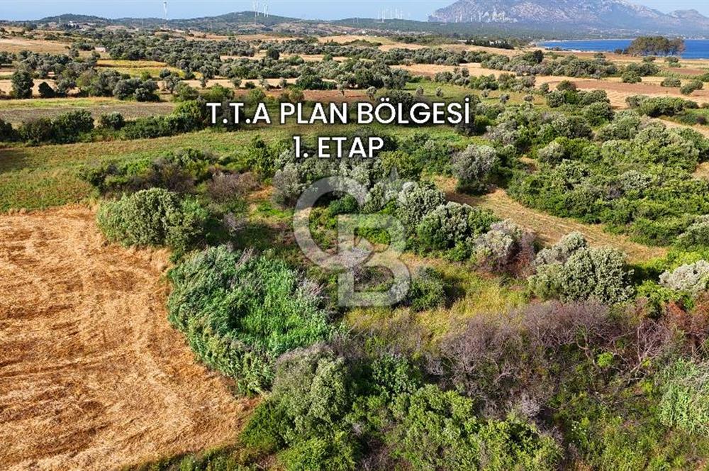 Datça Kızlan'da Turizm Planında Satılık 952 m² İncirli Tarla