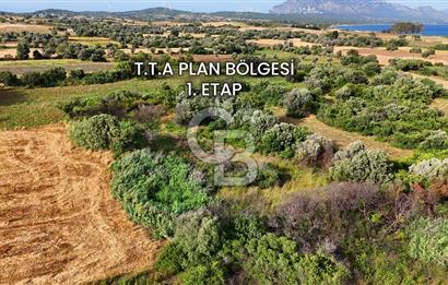 Datça Kızlan'da Turizm Planında Satılık 952 m² İncirli Tarla