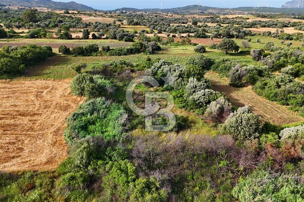 Datça Kızlan'da Turizm Planında Satılık 952 m² İncirli Tarla