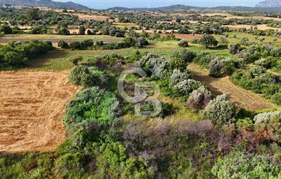 Datça Kızlan'da Turizm Planında Satılık 952 m² İncirli Tarla
