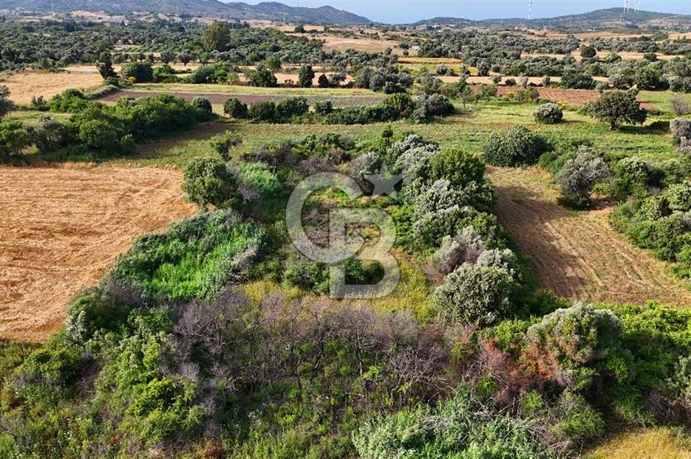Datça Kızlan'da Turizm Planında Satılık 952 m² İncirli Tarla