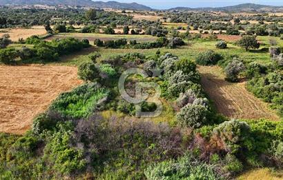 Datça Kızlan'da Turizm Planında Satılık 952 m² İncirli Tarla