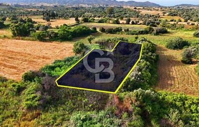 Datça Kızlan'da Turizm Planında Satılık 952 m² İncirli Tarla