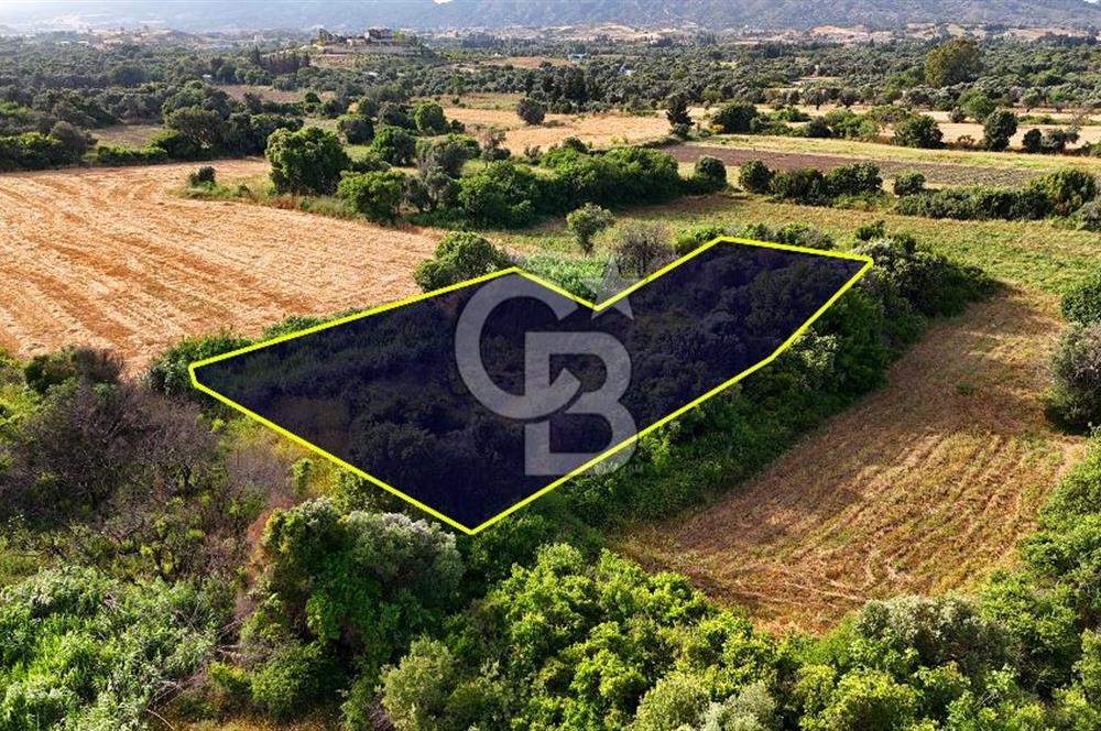 Datça Kızlan'da Turizm Planında Satılık 952 m² İncirli Tarla