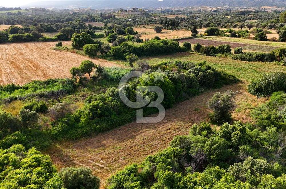 Datça Kızlan'da Turizm Planında Satılık 952 m² İncirli Tarla