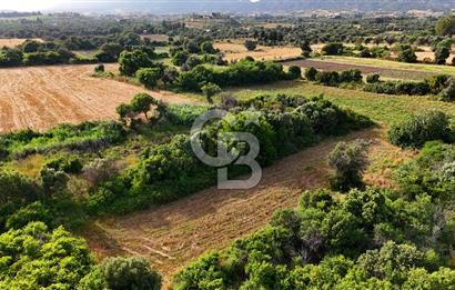 Datça Kızlan'da Turizm Planında Satılık 952 m² İncirli Tarla