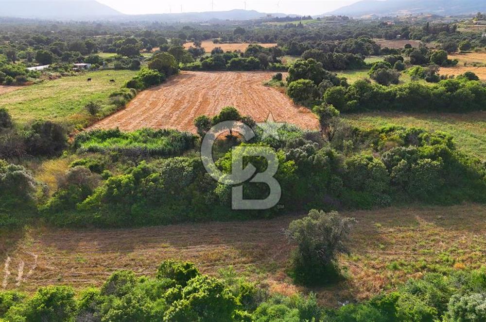 Datça Kızlan'da Turizm Planında Satılık 952 m² İncirli Tarla