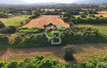 Datça Kızlan'da Turizm Planında Satılık 952 m² İncirli Tarla