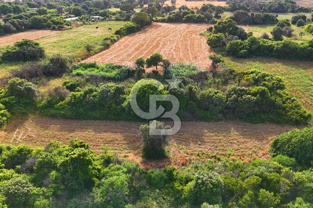 Datça Kızlan'da Turizm Planında Satılık 952 m² İncirli Tarla