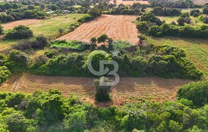 Datça Kızlan'da Turizm Planında Satılık 952 m² İncirli Tarla