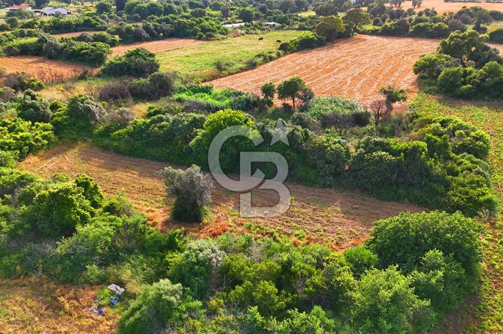 Datça Kızlan'da Turizm Planında Satılık 952 m² İncirli Tarla