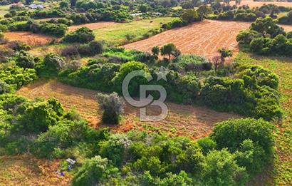 Datça Kızlan'da Turizm Planında Satılık 952 m² İncirli Tarla