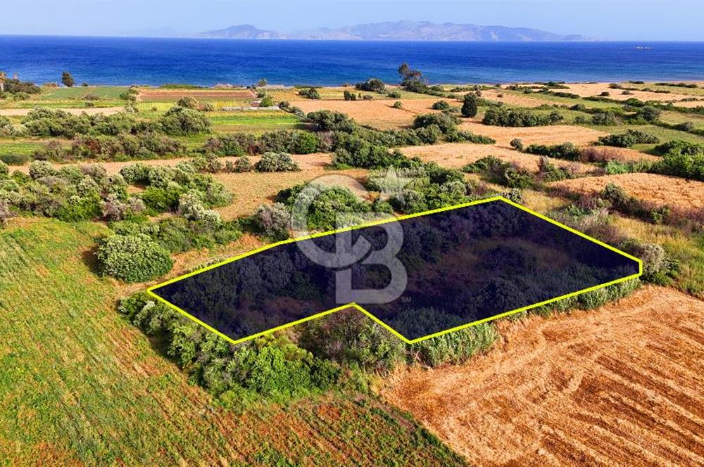 Datça Kızlan'da Turizm Planında Satılık 952 m² İncirli Tarla