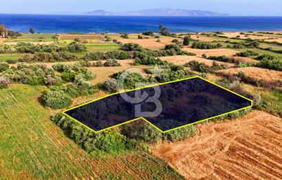 Datça Kızlan'da Turizm Planında Satılık 952 m² İncirli Tarla