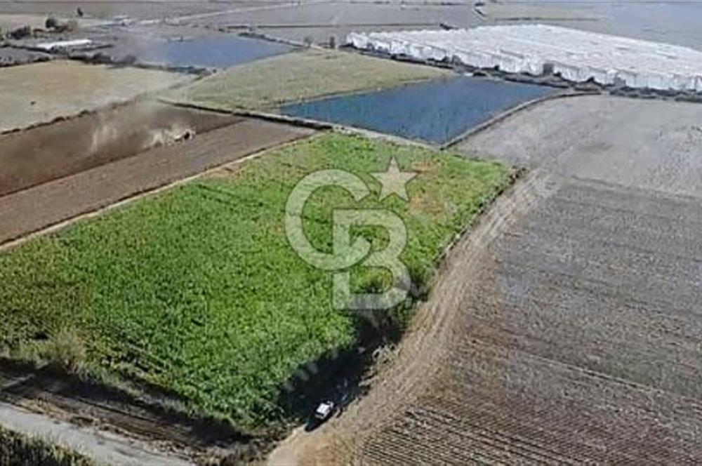 FABRİKALAR BÖLGESİN'DE, ASFALT CADDEYE 110 METRE CEPHELİ