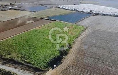 FABRİKALAR BÖLGESİN'DE, ASFALT CADDEYE 110 METRE CEPHELİ
