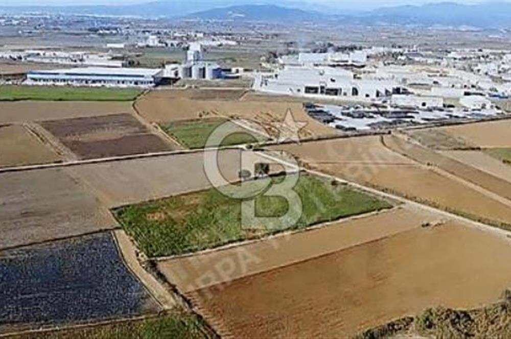 FABRİKALAR BÖLGESİN'DE, ASFALT CADDEYE 110 METRE CEPHELİ