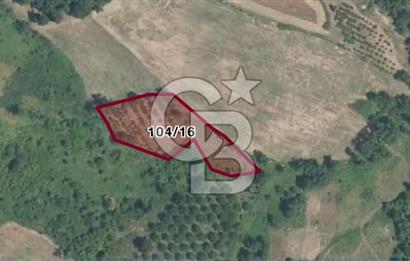 Gebze Kargalı Köyünde Satılık Tarla