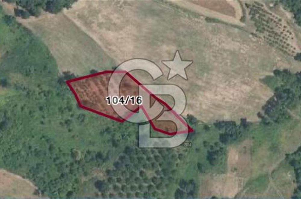 Gebze Kargalı Köyünde Satılık Tarla