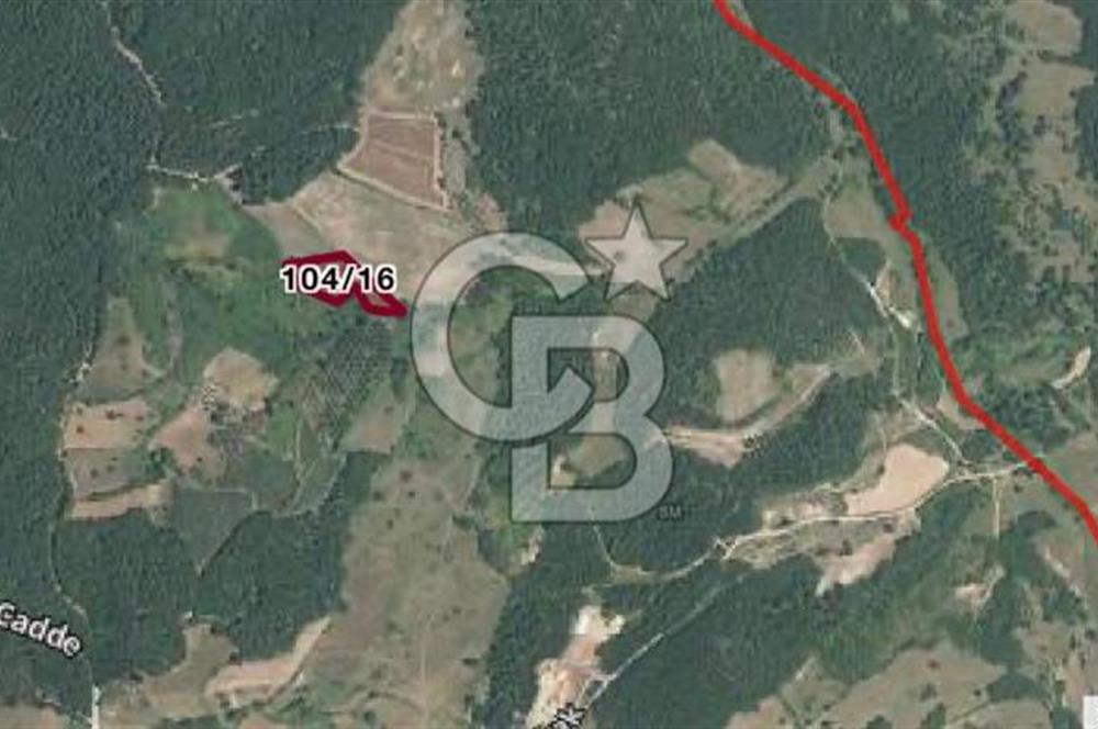 Gebze Kargalı Köyünde Satılık Tarla