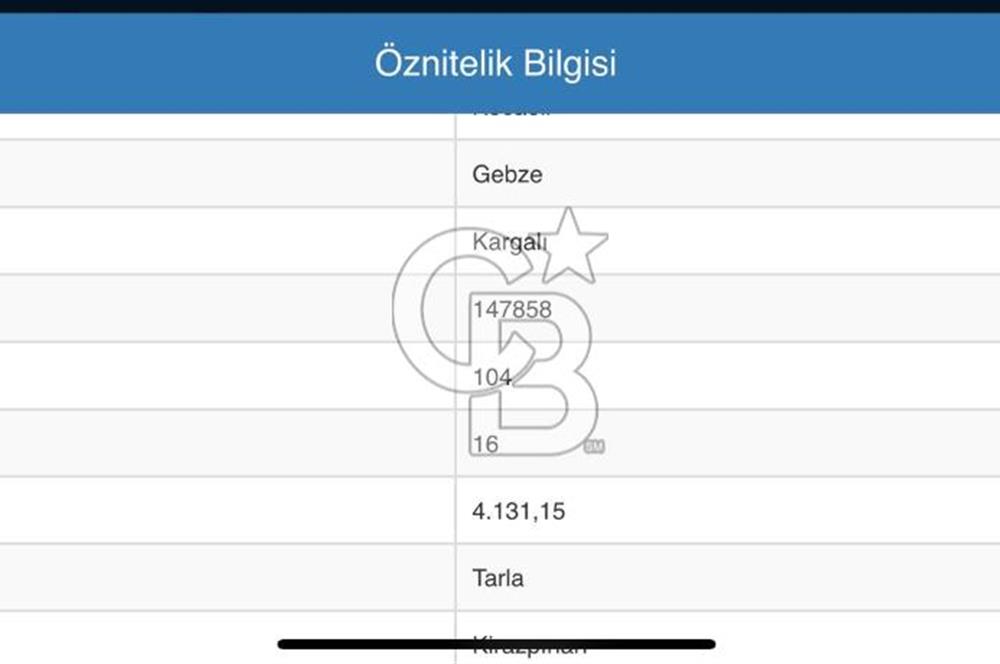 Gebze Kargalı Köyünde Satılık Tarla