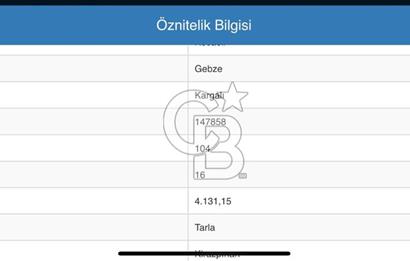 Gebze Kargalı Köyünde Satılık Tarla