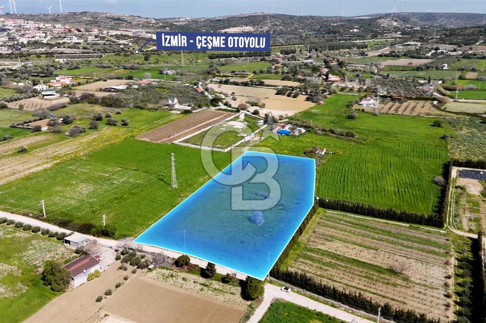 ÇEŞME MUSALLADA 8.128 m2 65 METRE YOLA CEPHELİ SATILIK TARLA