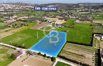 ÇEŞME MUSALLADA 8.128 m2 65 METRE YOLA CEPHELİ SATILIK TARLA