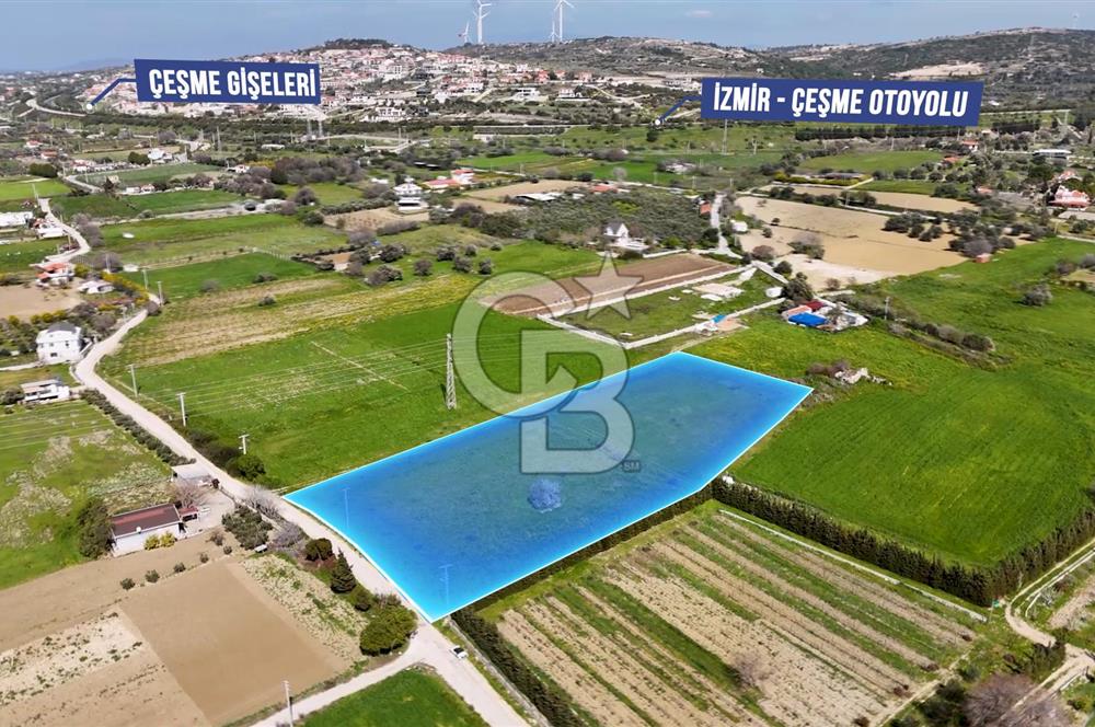 ÇEŞME MUSALLADA 8.128 m2 65 METRE YOLA CEPHELİ SATILIK TARLA