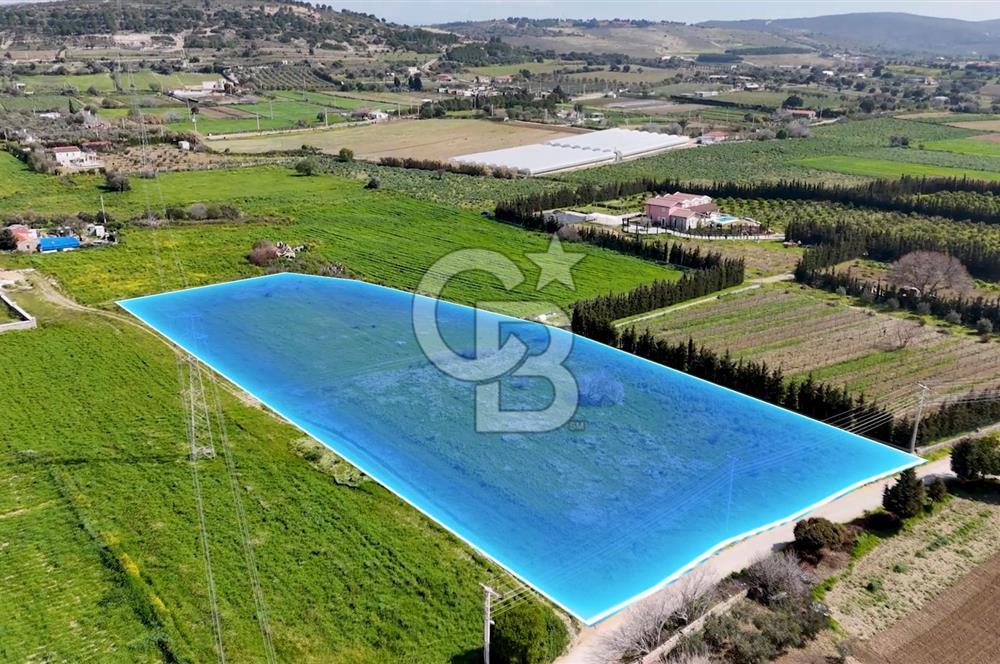 ÇEŞME MUSALLADA 8.128 m2 65 METRE YOLA CEPHELİ SATILIK TARLA