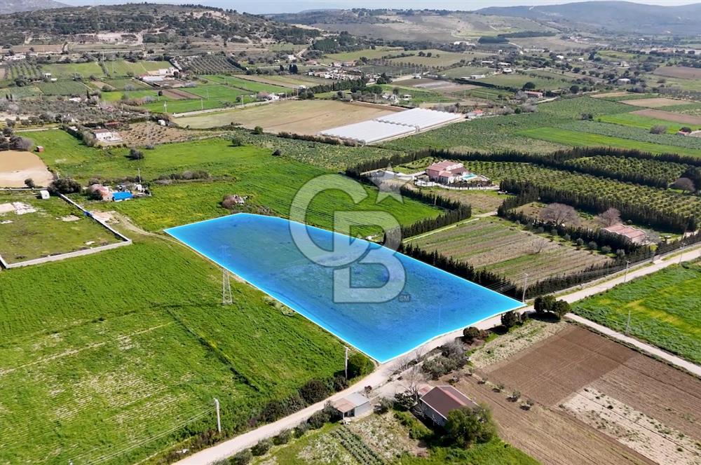 ÇEŞME MUSALLADA 8.128 m2 65 METRE YOLA CEPHELİ SATILIK TARLA