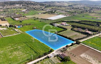 ÇEŞME MUSALLADA 8.128 m2 65 METRE YOLA CEPHELİ SATILIK TARLA