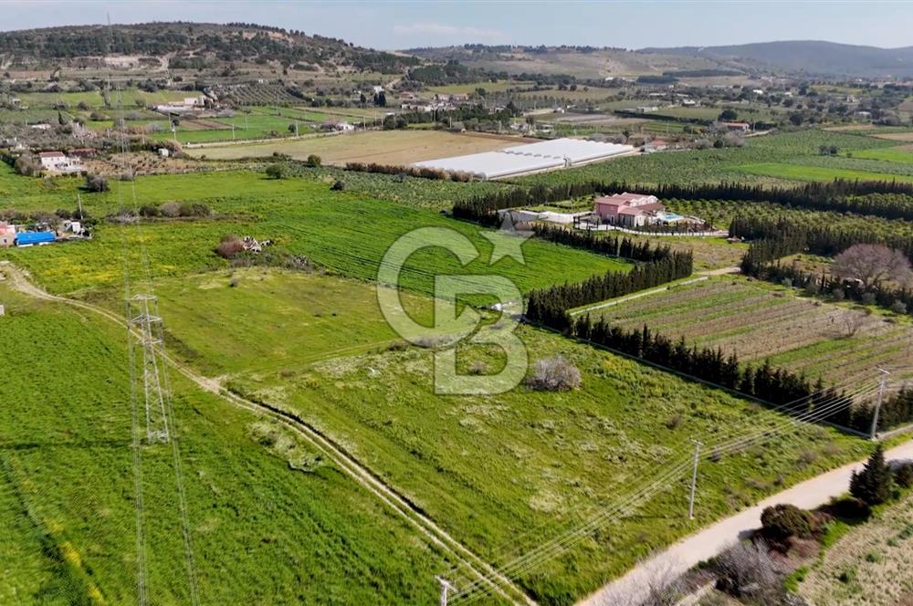 ÇEŞME MUSALLADA 8.128 m2 65 METRE YOLA CEPHELİ SATILIK TARLA