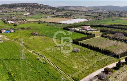 ÇEŞME MUSALLADA 8.128 m2 65 METRE YOLA CEPHELİ SATILIK TARLA
