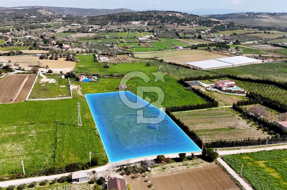 ÇEŞME MUSALLADA 8.128 m2 65 METRE YOLA CEPHELİ SATILIK TARLA