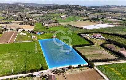 ÇEŞME MUSALLADA 8.128 m2 65 METRE YOLA CEPHELİ SATILIK TARLA