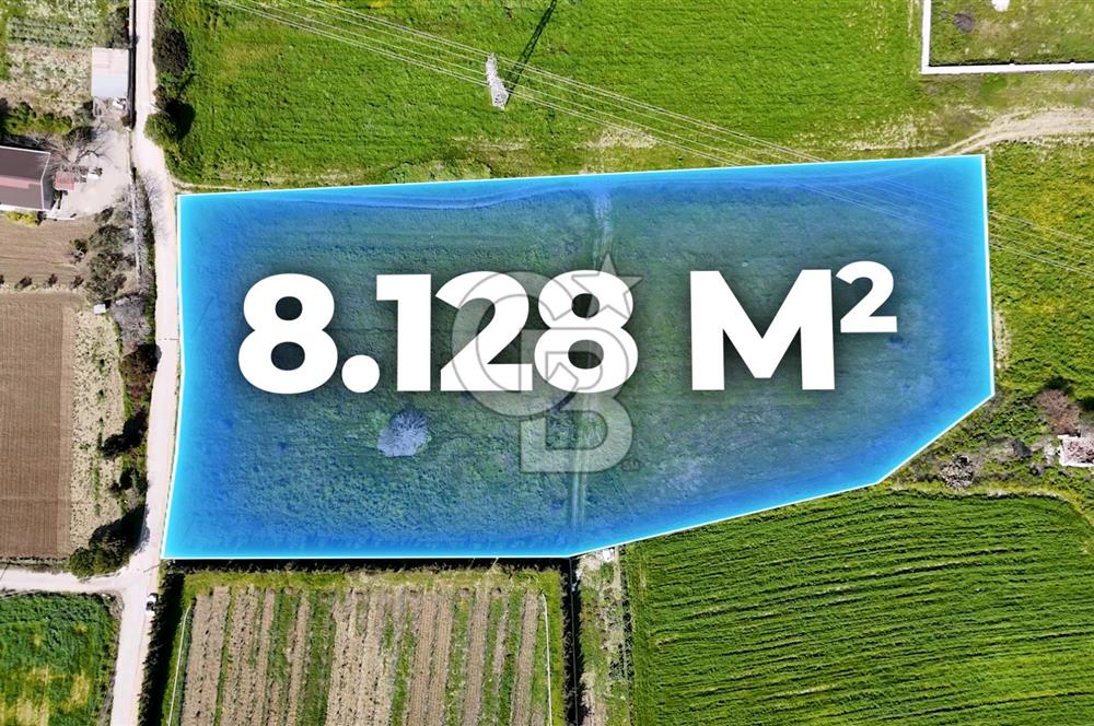 ÇEŞME MUSALLADA 8.128 m2 65 METRE YOLA CEPHELİ SATILIK TARLA