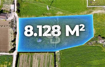 ÇEŞME MUSALLADA 8.128 m2 65 METRE YOLA CEPHELİ SATILIK TARLA