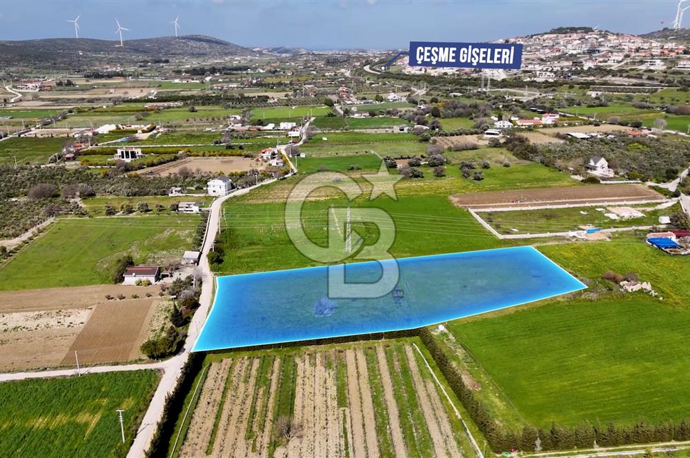 ÇEŞME MUSALLADA 8.128 m2 65 METRE YOLA CEPHELİ SATILIK TARLA