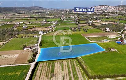 ÇEŞME MUSALLADA 8.128 m2 65 METRE YOLA CEPHELİ SATILIK TARLA