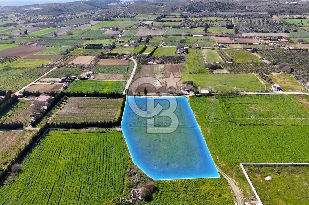 ÇEŞME MUSALLADA 8.128 m2 65 METRE YOLA CEPHELİ SATILIK TARLA